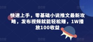 快速上手，零基础小说推文最新攻略，发布视频就能轻松赚，1W播放100收益-网创资源