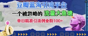 豆瓣蓝海引流平台，一个被忽略的流量大鱼塘，单日精准引流创业粉100+-网创资源
