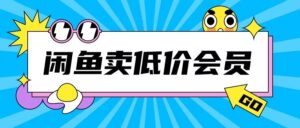 外面收费998的闲鱼低价充值会员搬砖玩法号称日入200+-网创资源