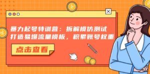 （13184期）暴力起号特训营：拆解模仿测试，打造易爆流量模板，积累账号权重-网创资源