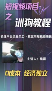 (训狗教程)训狗教学项目，详细教程讲解，月入1w+-网创资源