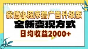 （13186期）微信小程序撸广告升级版，全新变现方式，日均收益2000+-网创资源