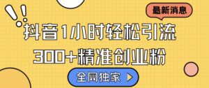 全网独家抖音引流，轻松日引300+精准创业粉【揭秘】-网创资源