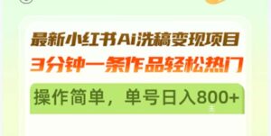 （13182期）最新小红书Ai洗稿变现项目 3分钟一条作品轻松热门 操作简单，单号日入800+-网创资源