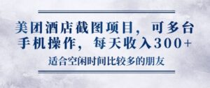 美团酒店截图项目，可多台手机操作，每天收入3张-网创资源