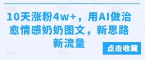 10天涨粉4w+，用AI做治愈情感奶奶图文，新思路新流量-网创资源