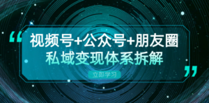 （13174期）视频号+公众号+朋友圈私域变现体系拆解，全体平台流量枯竭下的应对策略-网创资源