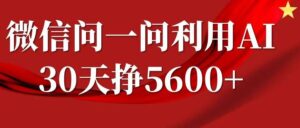 微信问一问分成，复制粘贴，单号一个月5600+-网创资源