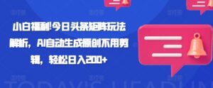 小白福利!今日头条矩阵玩法解析，AI自动生成原创不用剪辑，轻松日入200+-网创资源