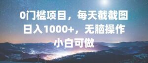 （13160期）0门槛项目，每天截截图，日入1000+，轻松无脑，小白可做-网创资源