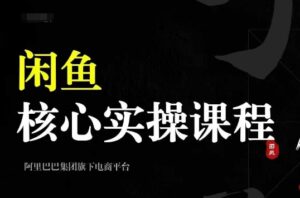 2024闲鱼核心实操课程，从养号、选品、发布、销售，教你做一个出单的闲鱼号-网创资源