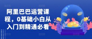阿里巴巴运营课程，0基础小白从入门到精通必看-网创资源
