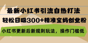 （13145期）最新小红书引流自热打法，轻松日吸300+精准宝妈创业粉，小红书更新后新…-网创资源