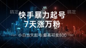 （13142期）快手暴力起号，7天涨万粉，小白当天起号 多种变现方式，账号回收，单月…-网创资源