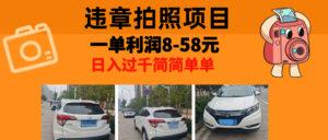 （13143期）最强副业，违章拍照，一单利润8-58元，全国大小城市都可做-网创资源