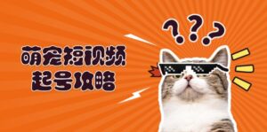 （13135期）萌宠-短视频起号攻略：定位搭建推流全解析，助力新手轻松打造爆款-网创资源