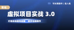 虚拟项目实战3.0，打造自动盈利店铺，可长期操作投入低，新手也能操作-网创资源