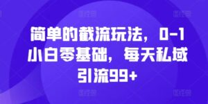 简单的截流玩法，0-1小白零基础，每天私域引流99+【揭秘】-网创资源