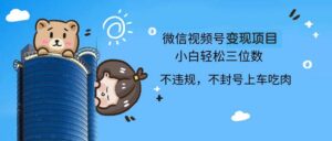 （13115期）2024最新微信视频号变现项目，小白轻松月入四位数-网创资源