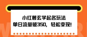 小红薯玄学起名玩法，单日流量破350+，轻松变现-网创资源