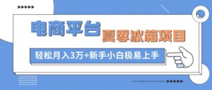 电商平台冰箱项目，项目门槛低，0成本投入，小白轻松上手-网创资源