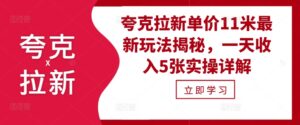 夸克拉新单价11米最新玩法揭秘，一天收入5张实操详解-网创资源