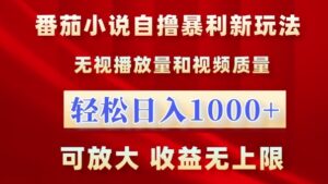 番茄小说自撸暴利新玩法，无视播放量，轻松日入1k，可放大，收益无上限【揭秘】-网创资源