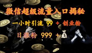 微信超级流量入口揭秘：一小时引流 99 + 创业粉，日涨粉 999 +-网创资源