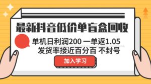 （13092期）最新抖音低价单盲盒回收 一单1.05 单机日利润200 纯绿色不封号-网创资源