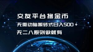 （13091期）交友平台撸金币，无需动脑搬砖式日入500+，无二八原则做就有，可批量矩…-网创资源