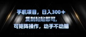 （13084期）手机项目，日入300+，复制黏贴即可，可矩阵操作，动手不动脑-网创资源
