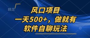 （13087期）一天500+，只要做就有，软件自聊玩法-网创资源