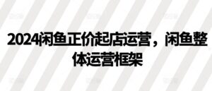 2024闲鱼正价起店运营，闲鱼整体运营框架-网创资源