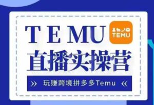 Temu直播实战营，玩赚跨境拼多多Temu，国内电商卷就出海赚美金-网创资源
