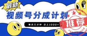 视频号创作者分成计划，每天几分钟收入100+，一个小而美的精品项目附开通教程和详细玩法-网创资源