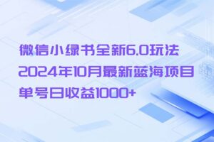 （13052期）微信小绿书全新6.0玩法，2024年10月最新蓝海项目，单号日收益1000+-网创资源