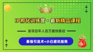 （13055期）IP孵化训练营，知识付费全流程+最强引流术+小白避坑指南-网创资源