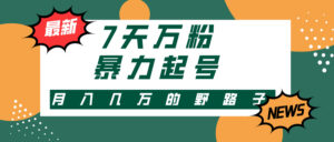 （13047期）3-7天万粉，快手暴力起号，多种变现方式，新手小白秒上手，单月变现几…-网创资源
