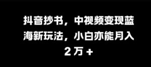 抖音抄书，中视频变现蓝海新玩法，小白亦能月入 过W【揭秘】-网创资源
