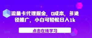 流量卡代理掘金，0成本，多途径推广，小白可轻松日入1k-网创资源