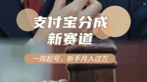 支付宝分成计划，新赛道，利用刑侦纪实视频，一周起号，新手小白也能月入过万-网创资源