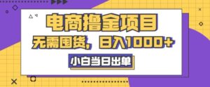 电商撸金项目，无需囤货，日入几张，小白当日出单，人性玩法，复购不断-网创资源
