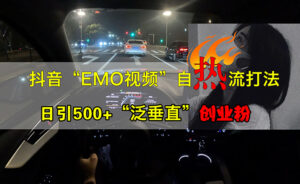 （13029期）抖音EMO视频自热打法，日引500+“泛垂直”创业粉-网创资源