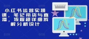小红书运营实操课，笔记带货与直播，流程超详细拆解分析设计-网创资源