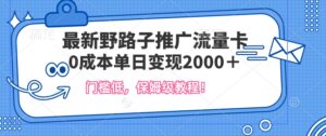 最新野路子推广流量卡，一张200-300，门槛低，0成本单日变现多张-网创资源