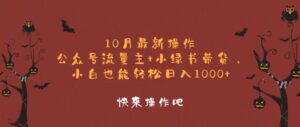（12977期）10月最新操作，公众号流量主+小绿书带货，小白轻松日入1000+-网创资源