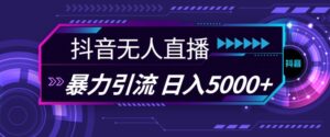 抖音快手视频号全平台通用无人直播引流法，利用图片模板和语音话术，暴力日引流100+创业粉【揭秘】-网创资源