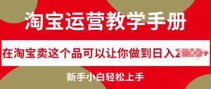 淘宝运营教学手册在淘宝卖这个品可以让你做到日入几张，新手小白轻松上手-网创资源