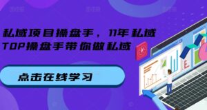 私域项目操盘手，11年私域TOP操盘手带你做私域-网创资源