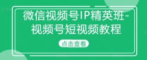 微信视频号IP精英班-视频号短视频教程-网创资源